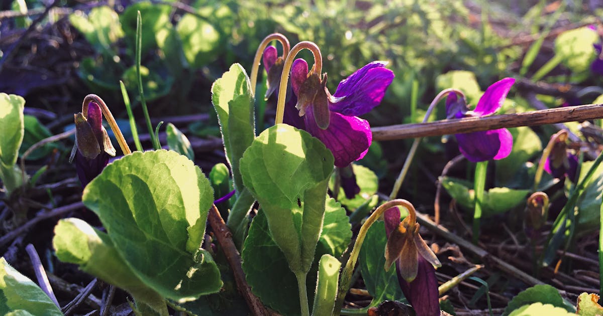 Framework diagram showing the five steps of AI client communication automation: context, tone, voice, approval, and learning
